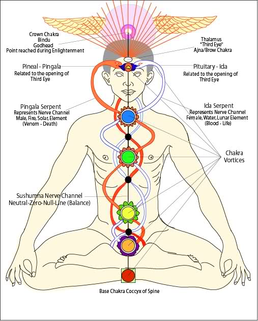 Kundalini Yoga: Know How To Awaken The Chakras Of The Body